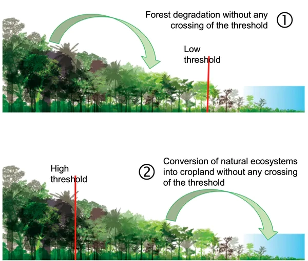 Effects of threshold selection on perceptions of deforestation and degradation. Adapted from High Carbon Stock Approach, Author provided