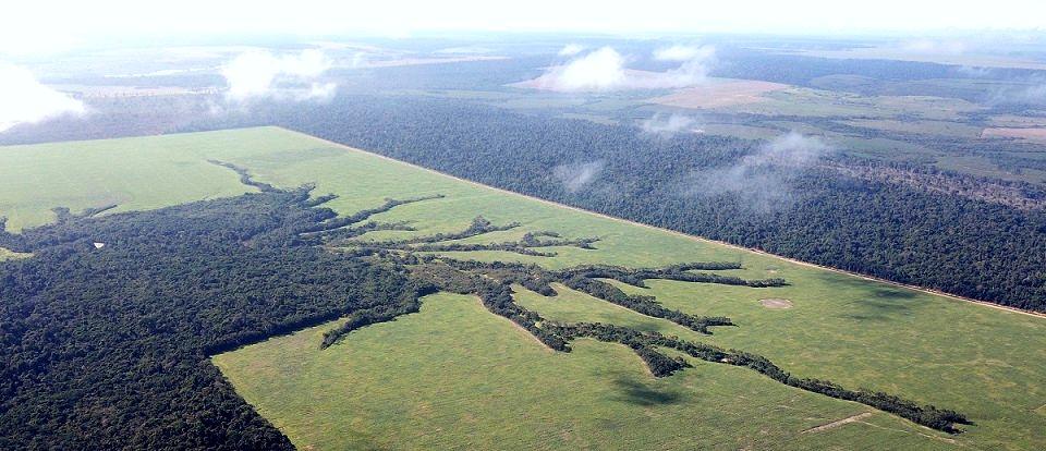 Pour une organisation efficiente des paysages, les surfaces non favorables à l’agriculture sont abandonnées et le couvert forestier se restaure progressivement. Des corridors forestiers peuvent ainsi se reconnecter avec la matrice forestière © R. Poccard-Chapuis, Cirad