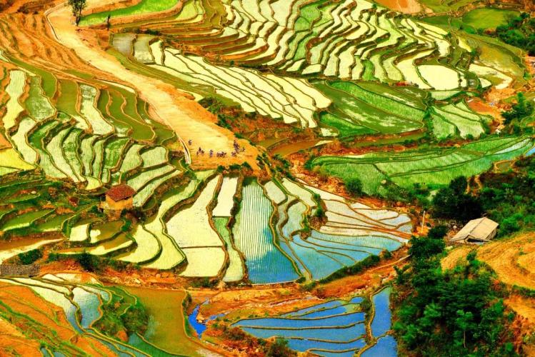 Village A Bei dans le Yunnan en Chine. © Cirad