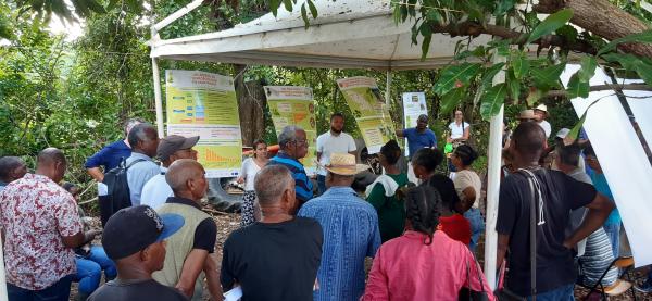 Séminaire de restitution ECOPHYTO PUMAT, volet économique © Serge Simon, Cirad