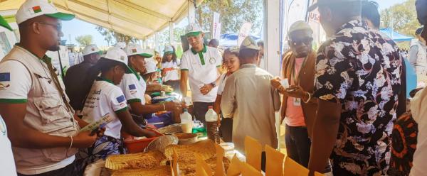 Présentation des nouvelles variétés de sorgho à la Foire VOATSE © K. Vom Brocke, Cirad