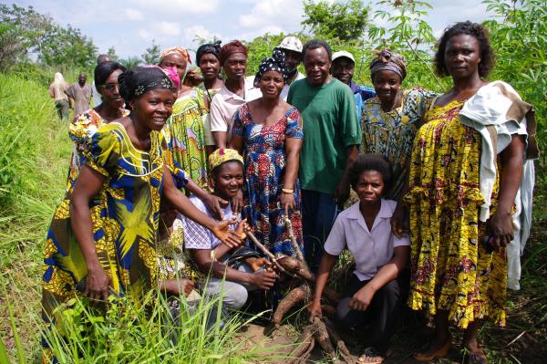 Union des groupes d'initiative commune (GIC) de Mbangassina © Cirad, D. Dufour