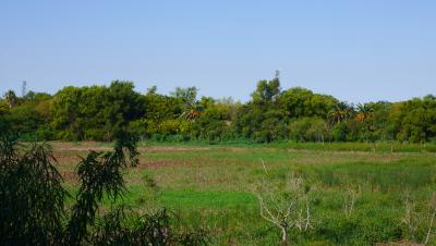 Argentine, province de Buenos Aires. ©  Léna Le Calvé, Cirad