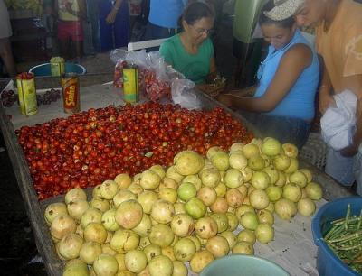 Passionfruits and acerolas on sale at a market in Nordeste, Brazil © P. Dugué, CIRAD