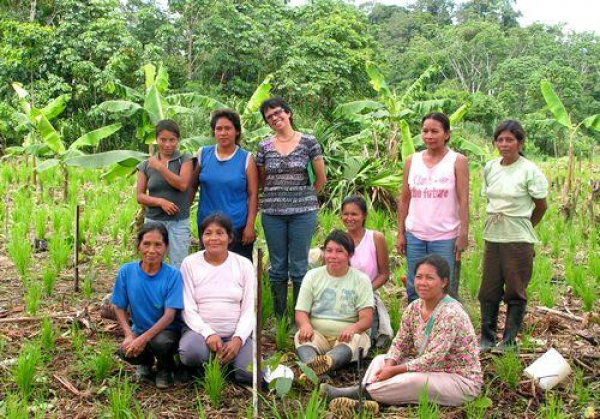 Paysannes dans un champ, Brésil. © P. Sist, Cirad