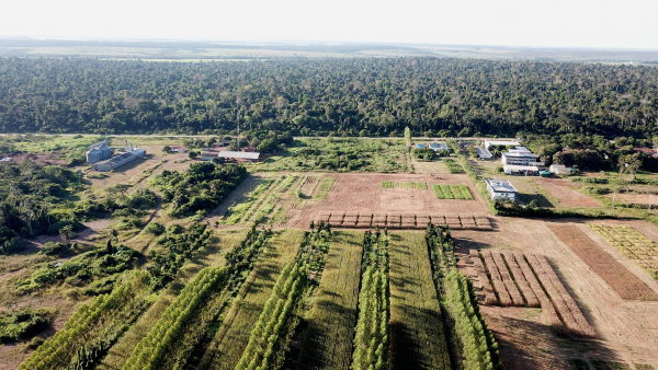 Le campus de l’Embrapa, centre de recherche agronomique brésilien qui accueille le Cirad à Paragominas, effectue des essais en agroforesterie (premier plan) qui servent de démonstration aux agriculteurs. A l’arrière-plan, un bloc de forêt abimée par le feu a été restauré et sert de "laboratoire" pour la gestion durable des ressources forestières © R. Poccard-Chapuis, Cirad