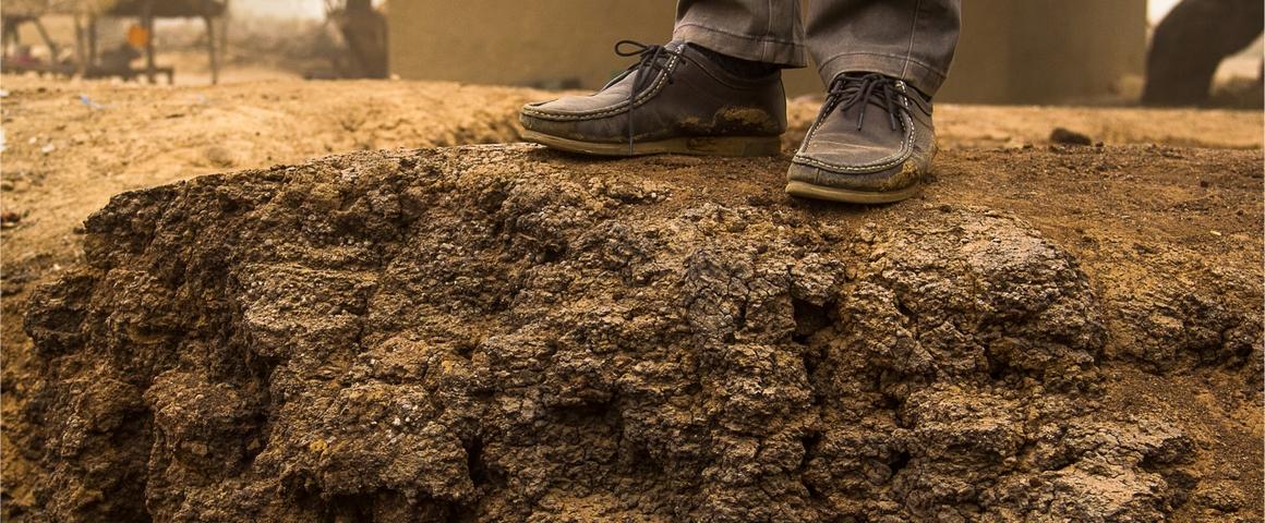 Selon l'étude qui compile plus de 50 pratiques agricoles, l’apport de matières organiques exogènes et l’agroforesterie sont les plus vertueuses en matière de stockage de carbone dans les sols © R. Belmin, Cirad