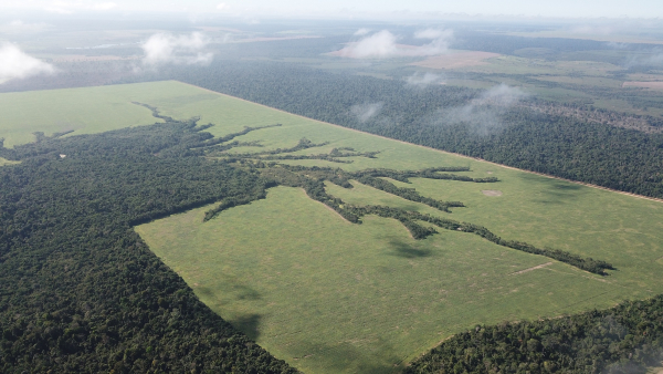 Pour une organisation efficiente des paysages, les surfaces non favorables à l’agriculture sont abandonnées et le couvert forestier se restaure progressivement. Des corridors forestiers peuvent ainsi se reconnecter avec la matrice forestière © R. Poccard-Chapuis, Cirad