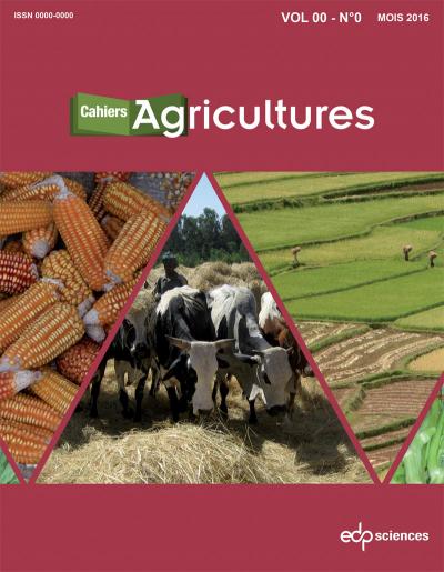 Moteur de la révolution agricole dans les années 70, le coton affronte aujourd’hui les défis de la transition agroécologique. Un nouveau numéro des Cahiers Agricultures explore les pistes pour y faire face.