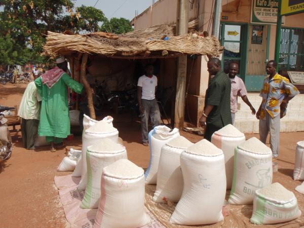 Supporting the resilience and modernization of rice supply chains in West Africa by making it easier for processors to access credit is one of the main recommendations made by researchers from IRRI, AfricaRice and CIRAD © P. Mendez del Villar, CIRAD