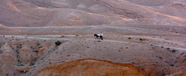 La Tunisie est un pays classé « pauvre en eau ». Les ressources hydriques du pays sont évaluées à environ 350 m3 par habitant et par an. Selon l'indicateur de Falkenmark, un pays est considéré en pénurie d'eau lorsqu'il n'atteint pas les 1000 m3 par habitant et par an. © O. Chartron, Cirad