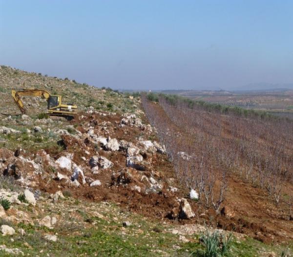 Dépierrage pour plantation de pommiers en intensif dans le Moyen Atlas au Maroc © N. Faysse, Cirad