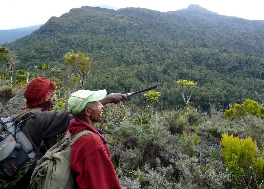 Madagascar has lost 44 % of its natural forests since the 1950s and the rate of deforestation is increasing © G. Vieilledent, CIRAD