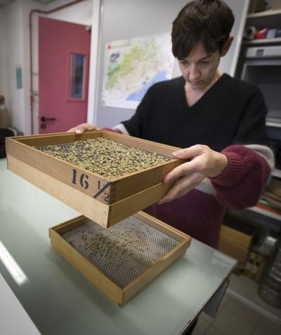 Delphine Mieulet, scientist at CIRAD, led the tasting last December © C. Cornu, CIRAD