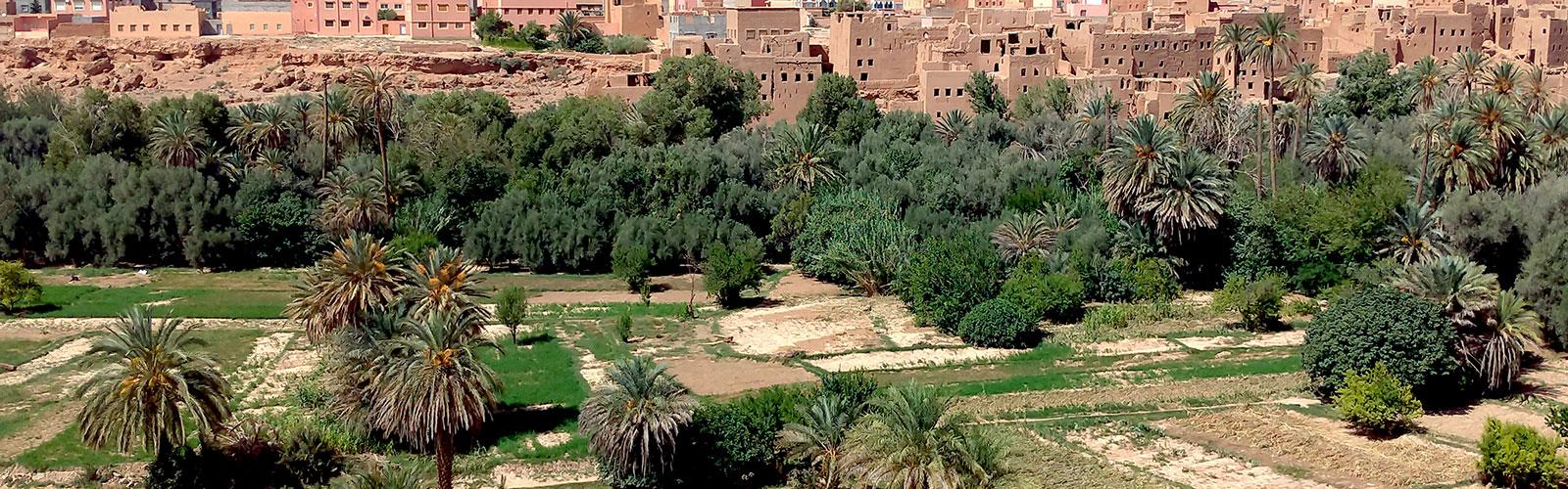 Tinghir oasis, Morocco © G. Lacombe, CIRAD