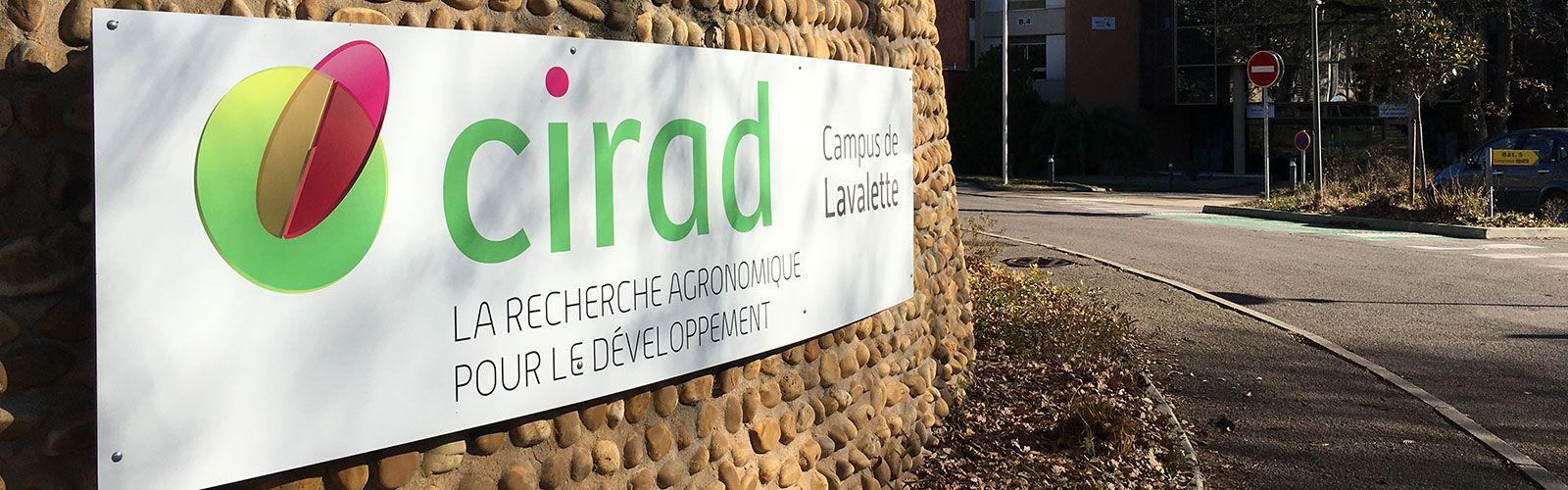 Cirad Lavalette. © D. Delebecque, Cirad