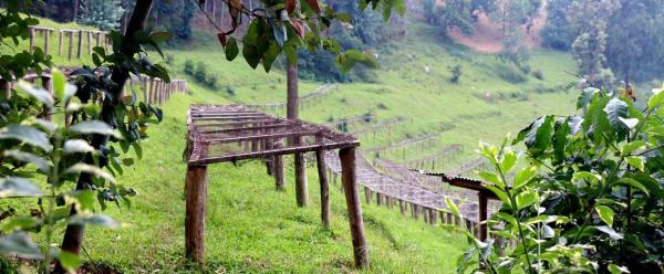 Drying tables on the shores of Lake Kivu, Rwanda