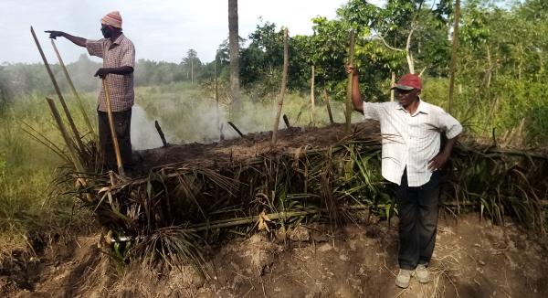 Charcoal production © Emilien Dubiez, CIRAD