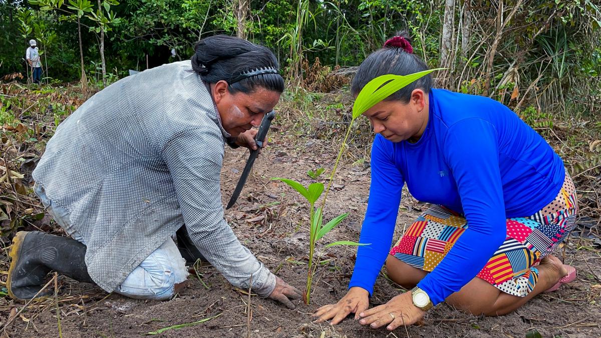 Deux étudiantes de Refloramaz lors de la plantation d'une parcelle agroforestière © Ianca Moreira, Refloramaz