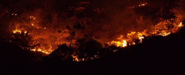 En 2015 à Paragominas (Brésil), 183 000 hectares de forêts sont partis en fumée © R. Poccard-Chapuis, Cirad