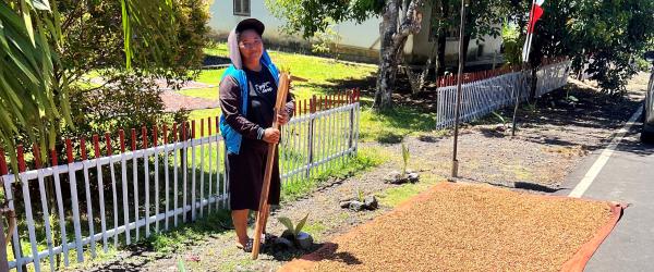 Drying cloves after harvesting, Likupang region, North Sulawesi, Indonesia. © JM Roda