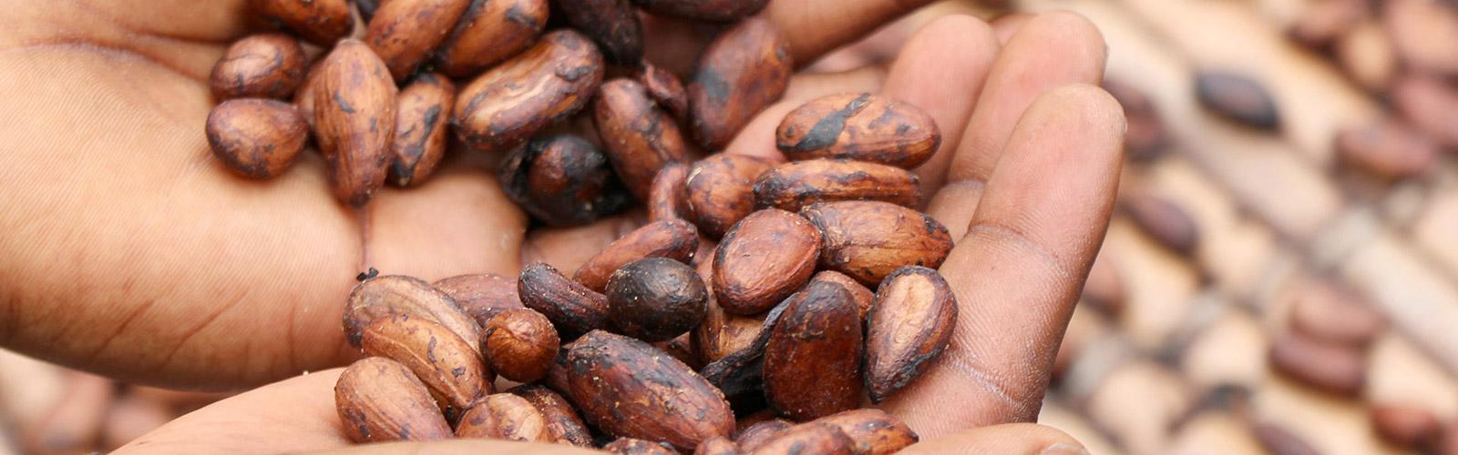 Cocoa beans, Cameroon © E. Fidele, Unsplash