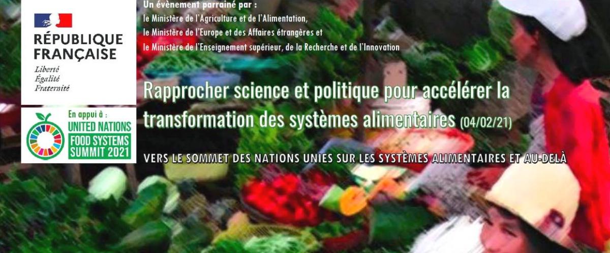 Rapprocher science et politique pour accélérer la transformation des systèmes alimentaires