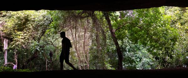 La forêt de Dindefelo, au Sénégal oriental © R. Belmin, Cirad