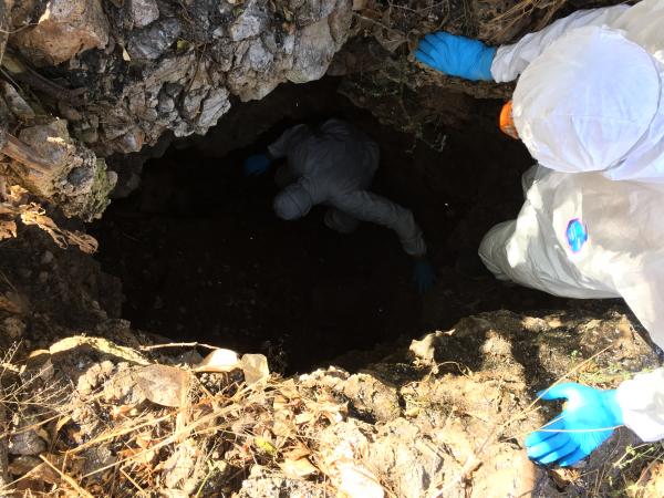 Entrée dans une grotte pour aller prélever des échantillons d’urine et de fèces (Zimbabwe) © M. Bourgarel, Cirad