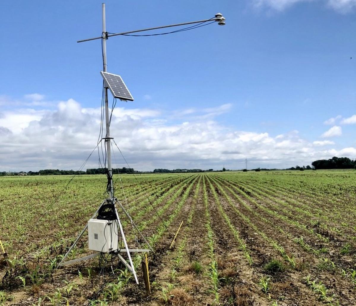 Measuring albedo in a cornfield in France © M. Ferlicoq