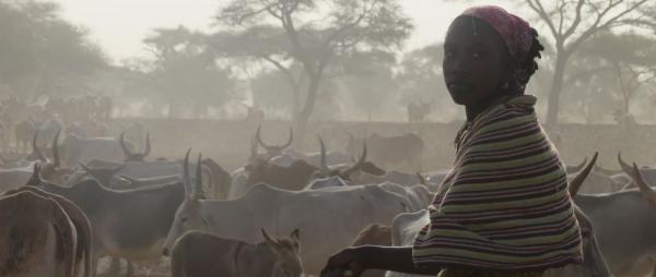 L'approche "Une seule santé" permet de penser la santé humaine en lien avec la santé animale et l’environnement. © S. Taugourdeau, Cirad