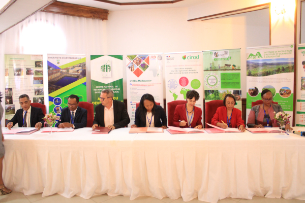 Heritiana Raoeliarimanana, directeur du Fifamanor ; Tahina Solofoniaina Raharison, Directeur exécutif du GSDM, Thierry Portafaix directeur de l'IRD à Madagascar ; Fanoina Ny Riana Razafindrakoto, directrice générale du Fofifa, Elisabeth Claverie de Saint Martin, PDG Cirad ; Lala Harivelo Ravaomanarivo, vice-présidente de l'Université d’Antananarivo et Gaudiose Mujawamariya, représentante d'Africa Rice. © A. Sedra, Fofifa