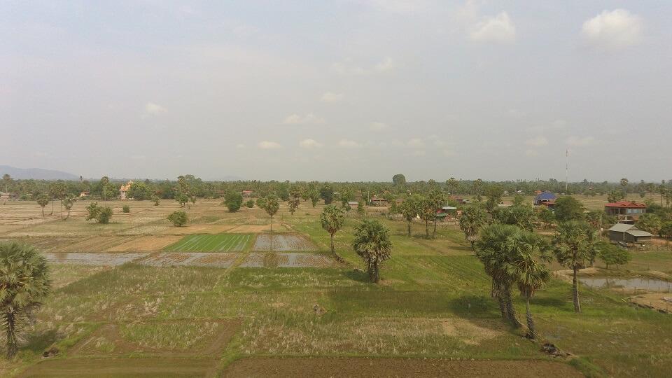 Irrigation des rizières © F. Tivet, Cirad