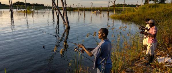 (©Brent Stirton-Getty Images for FAO, CIFOR, CIRAD, WCS)