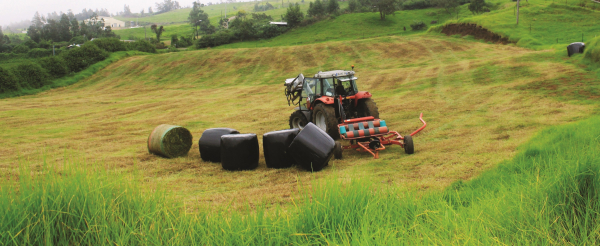 L’ensilage permet de stocker le fourrage estival en vue de le vendre à d’autres éleveurs déficitaires © Cirad