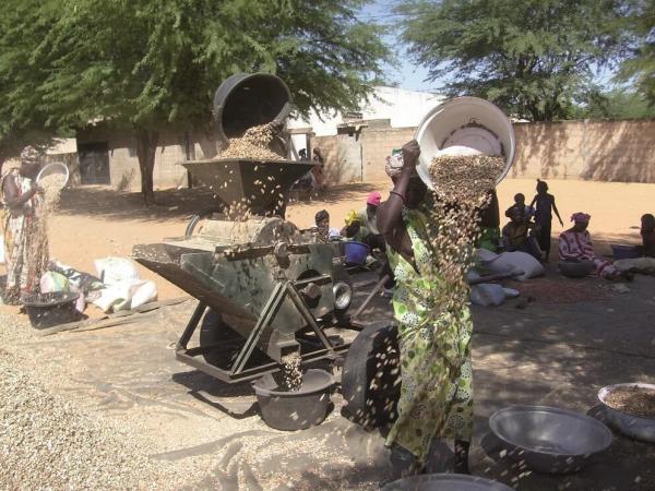 BioStar vise à améliorer l'approvisionnement énergétique des PME agroalimentaires d’Afrique de l’Ouest en convertissant leurs résidus en chaleur, force motrice ou électricité © D. Dia, Isra