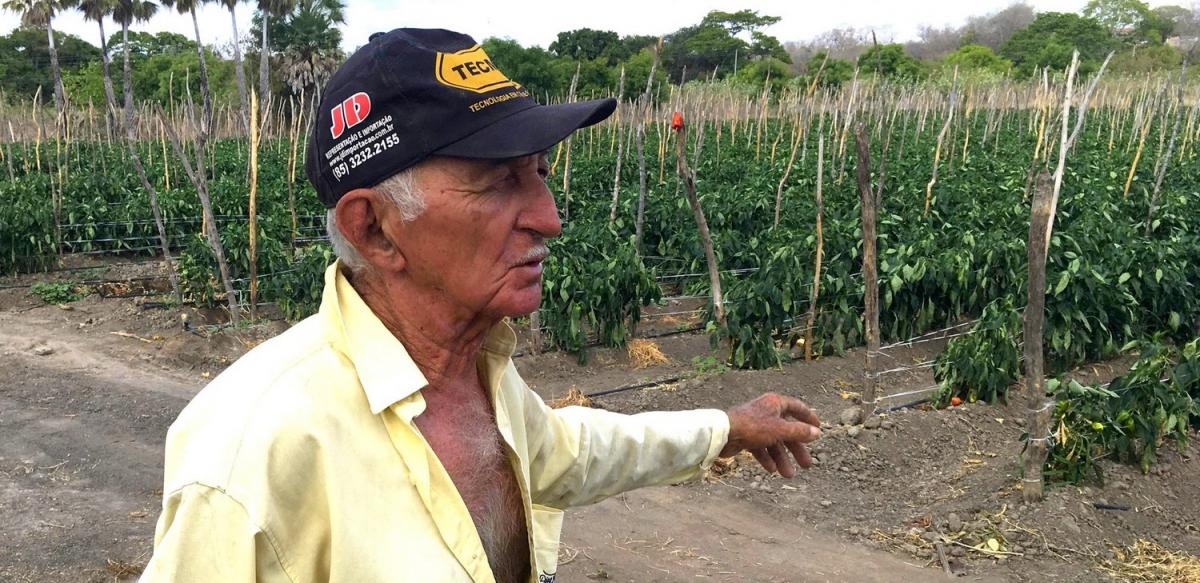 Un agriculteur du Ceará montre ses cultures irriguées au goutte à goutte, Brésil © J.Burte, Cirad