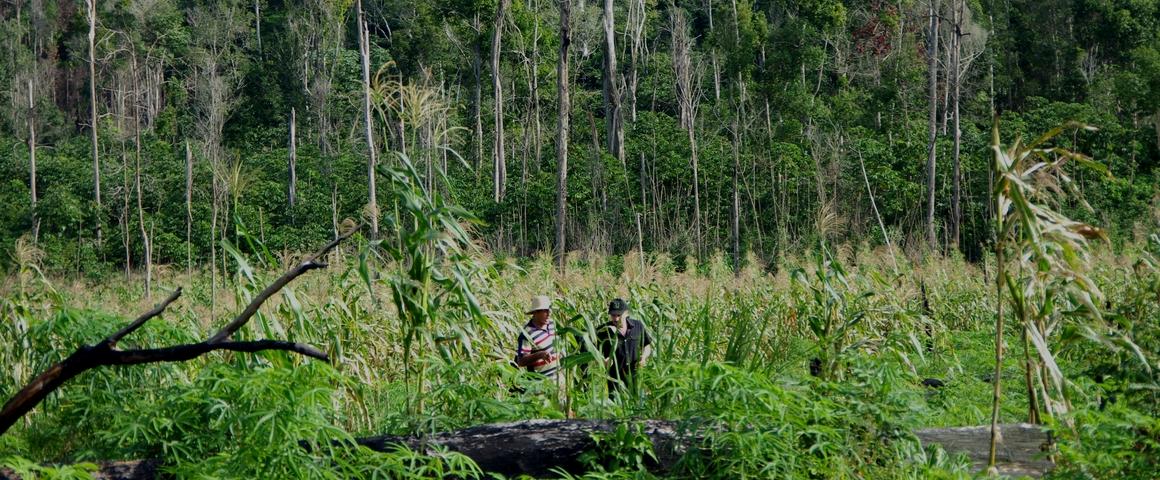 Field survey with a farmer in Paragominas, a municipality in the heart of the Brazilian Amazon © R. Poccard-Chapuis