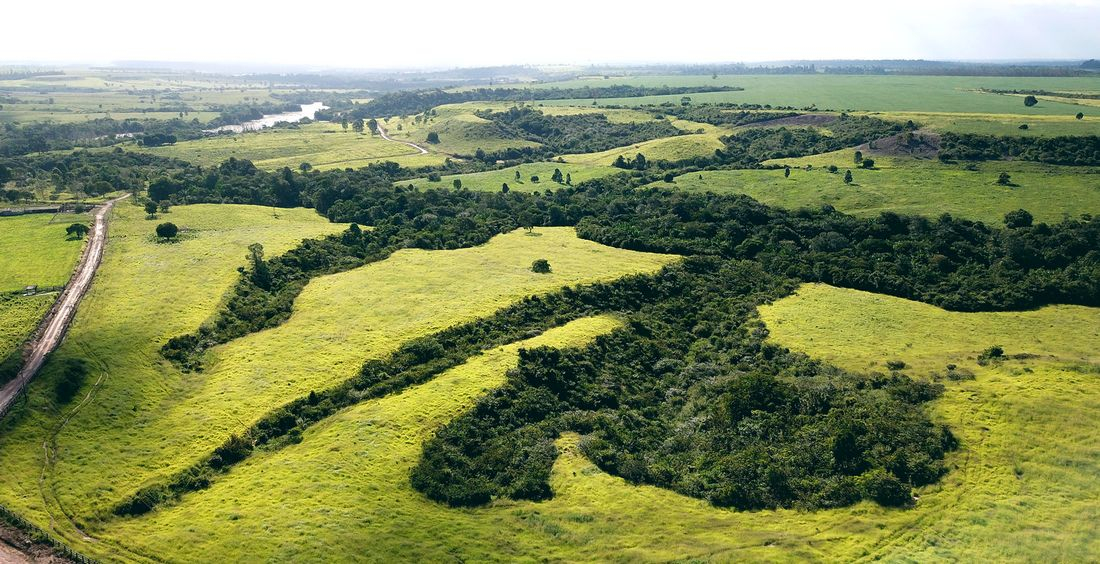 Paysage Amazonie © R. Poccard-Chapuis, Cirad