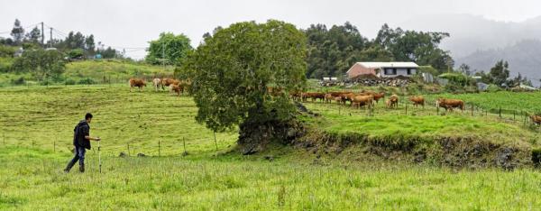 Le concept One Health repose sur le principe que la santé animale, végétale, de l’environnement et celle des humains sont intimement liées © R. Carayol, Cirad