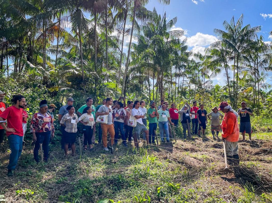 première session de la spécialisation, classe en excursion, Santa Bárbara do Pará, 2023. © Ianca Moreira