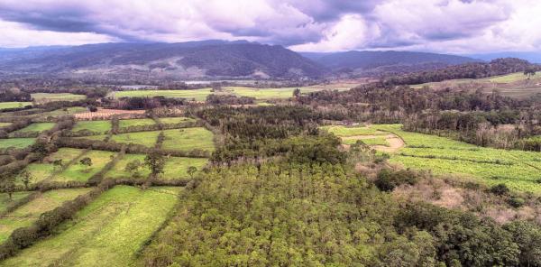 Corridors forestiers dans la région de Turrialba, Costa Rica © Christian Brenez, Catie