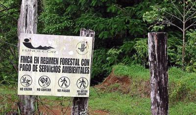 Property being paid for environmental services, Costa Rica. (© B. Locatelli/CIRAD)