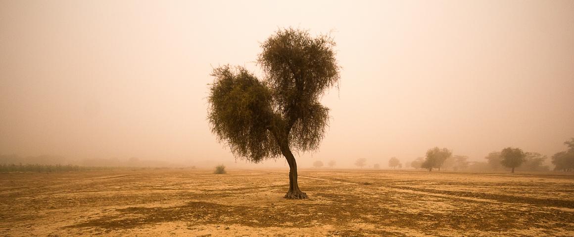 Degraded soils in Guédé, Senegal © R. Belmin, CIRAD