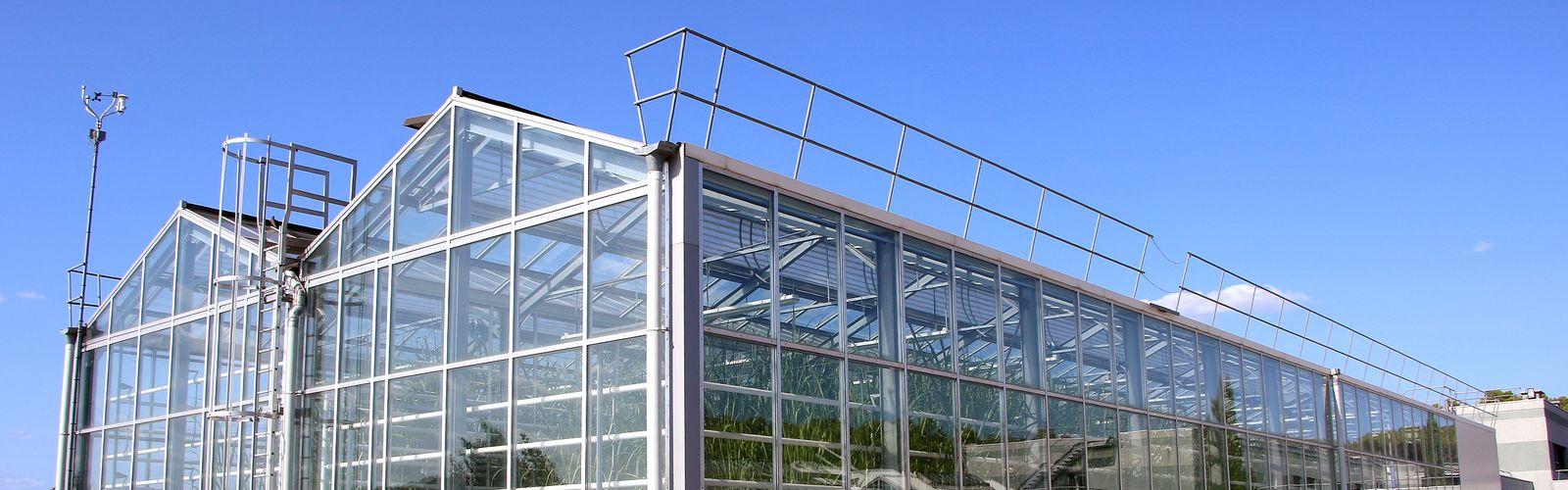 Greenhouses at CIRAD's Baillarguet site, near Montpellier (France) © C. Dangléant, CIRAD