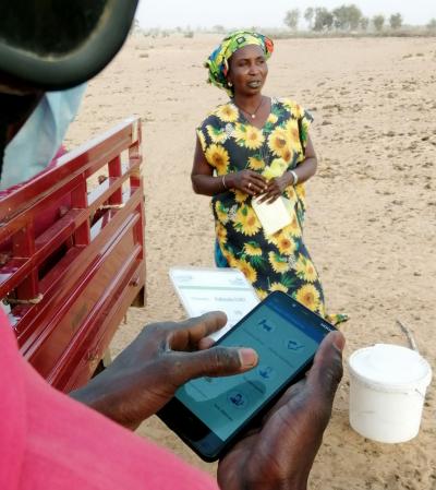 A smartphone app exists to facilitate milk collection from large numbers of producers, in this case in northern Senegal © J. D. Cesaro, CIRAD