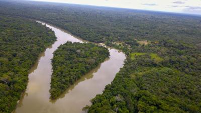 CIRAD na Amazônia © R. Poccard-Chapuis, Cirad