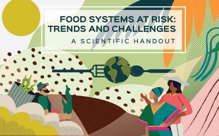 Systèmes alimentaires en danger : tendances et défis, synthèse d’un rapport commandé au Cirad par la Commission européenne (Illustration : Laurence Laffont)