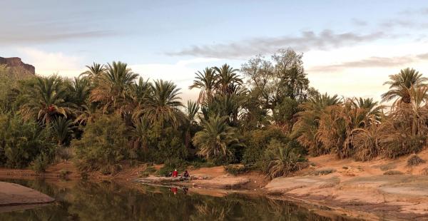 L’Oasis de Mezquita, dans la vallée du Draa au Maroc © Lisa Bossenbroek et Zakaria Kadiri