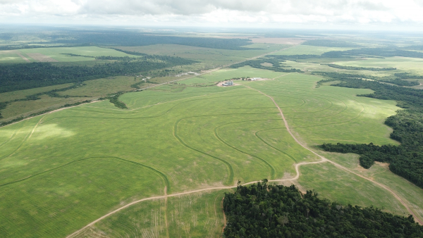 Ici, des terrasses sont aménagées pour éviter l’érosion du sol, et les forêts occupent toutes les surfaces qui ne sont pas planes © R. Poccard-Chapuis, Cirad